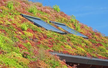 Cassop living roof systems