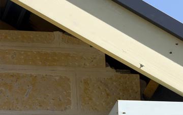 soffit repair Cassop